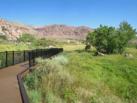 Red Spring Boardwalk