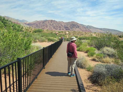 Red Spring Boardwalk