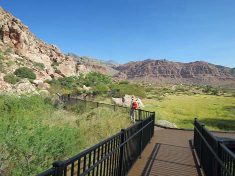 Red Spring Boardwalk