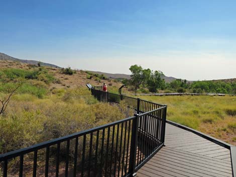 Red Spring Boardwalk Trail