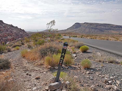 Ride Share Deluxe Loop Trail