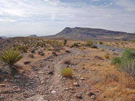 Ride Share Deluxe Loop Trail