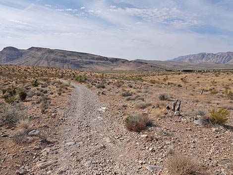 Ride Share Deluxe Loop Trail