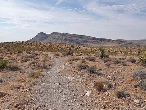 Ride Share Deluxe Loop Trail