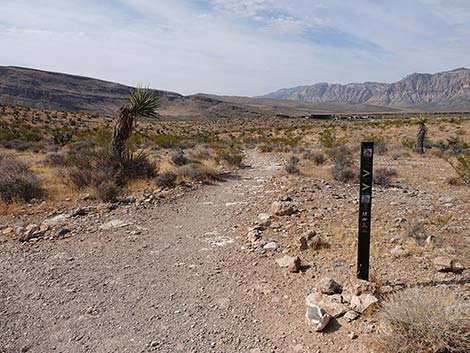 Ride Share Deluxe Loop Trail