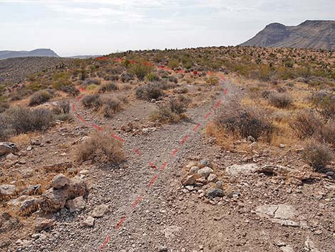 Ride Share Deluxe Loop Trail