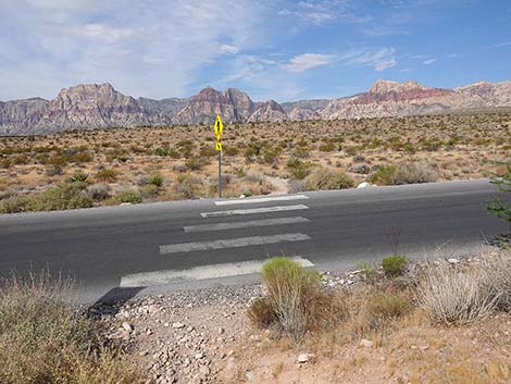 Ride Share Deluxe Loop Trail