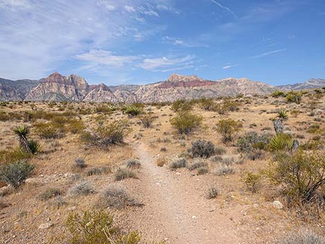 Ride Share Deluxe Loop Trail