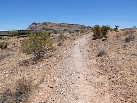 Ride Share Deluxe Loop Trail