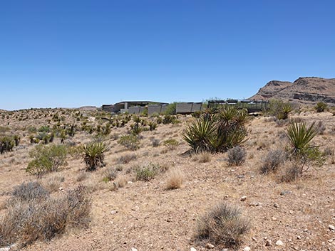 Ride Share Deluxe Loop Trail