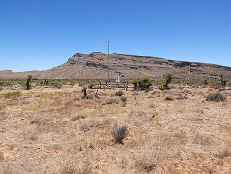 Ride Share Deluxe Loop Trail