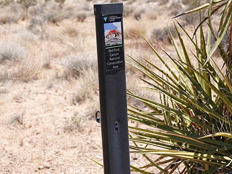 Ride Share Deluxe Loop Trail