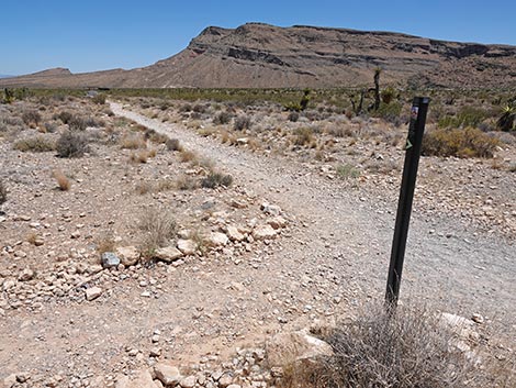 Ride Share Deluxe Loop Trail