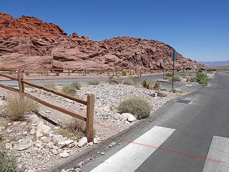 Ride Share Deluxe Loop Trail