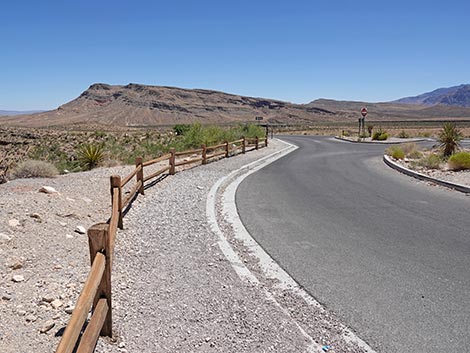 Ride Share Deluxe Loop Trail
