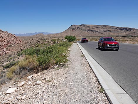 Ride Share Deluxe Loop Trail