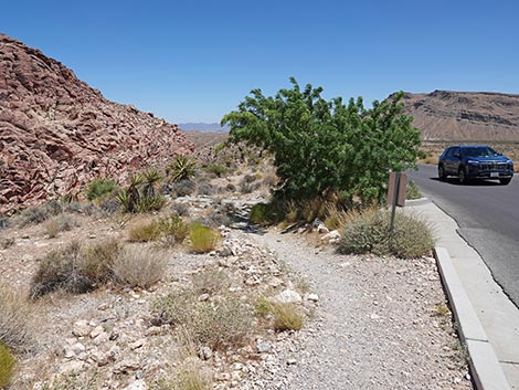 Ride Share Deluxe Loop Trail