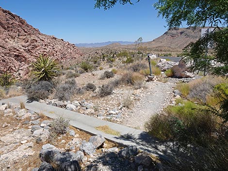 Ride Share Deluxe Loop Trail