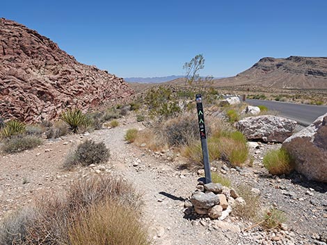 Ride Share Deluxe Loop Trail