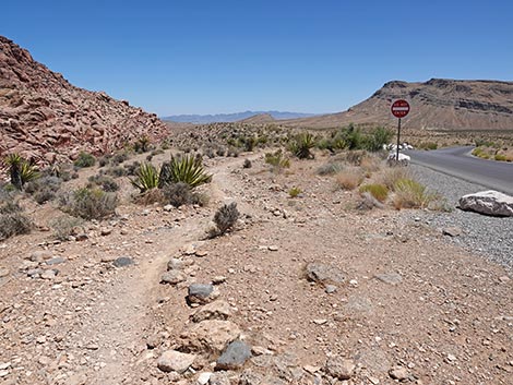 Ride Share Deluxe Loop Trail