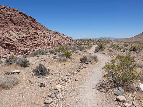 Ride Share Deluxe Loop Trail