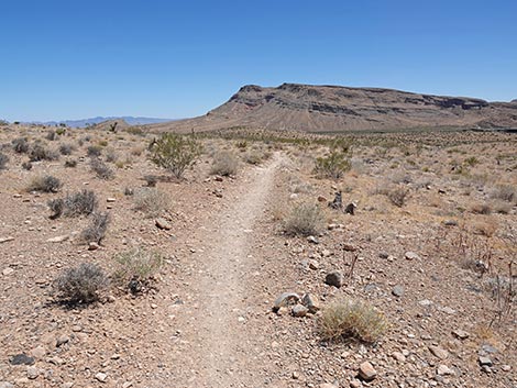 Ride Share Deluxe Loop Trail