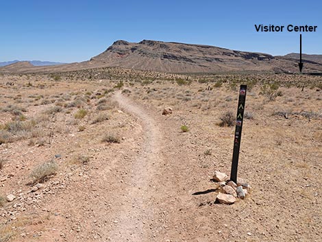 Ride Share Deluxe Loop Trail