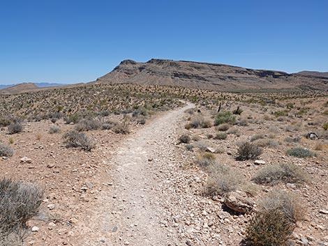 Ride Share Deluxe Loop Trail