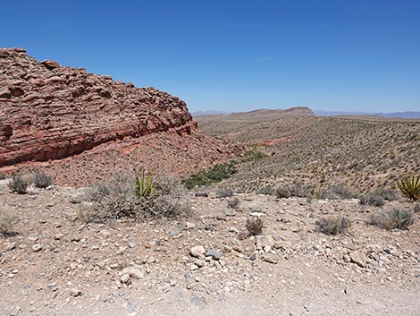 Ride Share Deluxe Loop Trail