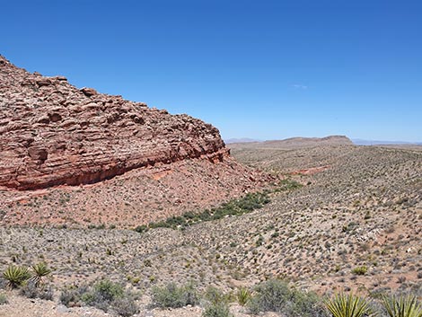Ride Share Deluxe Loop Trail