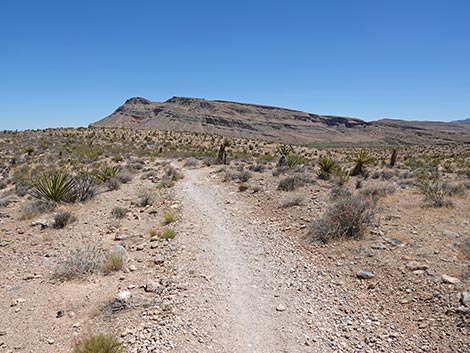 Ride Share Deluxe Loop Trail