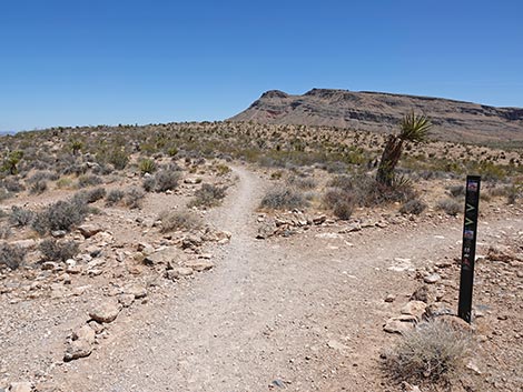 Ride Share Deluxe Loop Trail