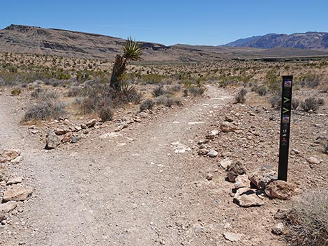 Ride Share Deluxe Loop Trail