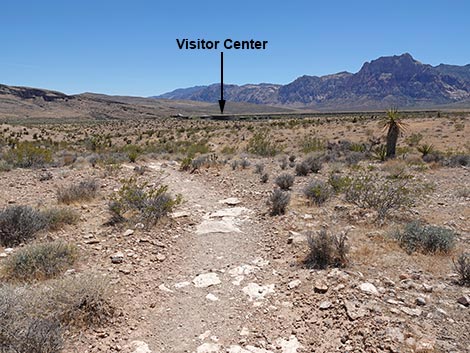 Ride Share Deluxe Loop Trail