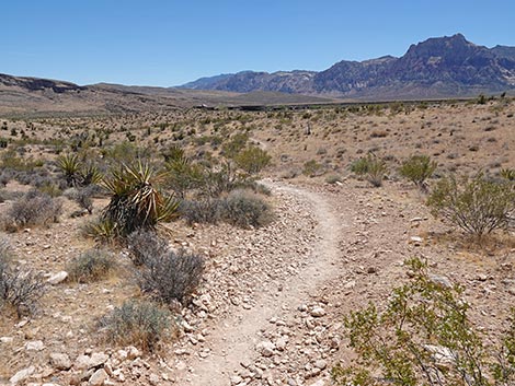 Ride Share Deluxe Loop Trail