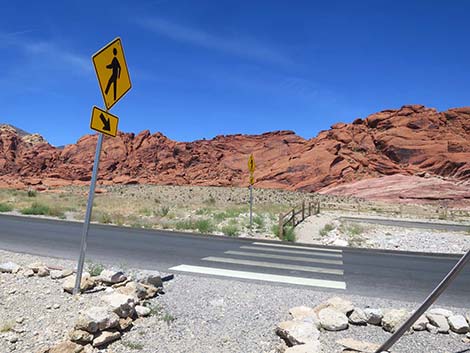 Ride Share Deluxe Loop Trail