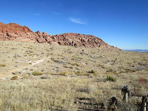 Ride Share Deluxe Loop Trail