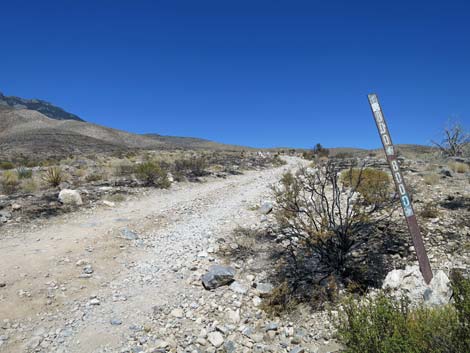 Ninetynine Mine Road