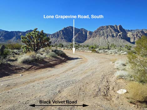 Black Velvet Road