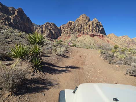 Black Velvet Trailhead