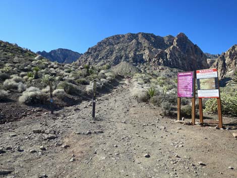 Black Velvet Trailhead