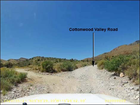 Cottonwood Valley Road