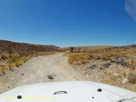 Cottonwood Valley Road