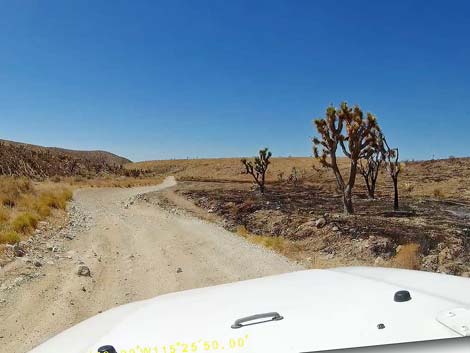 Cottonwood Valley Road