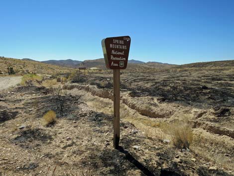 Cottonwood Valley Road