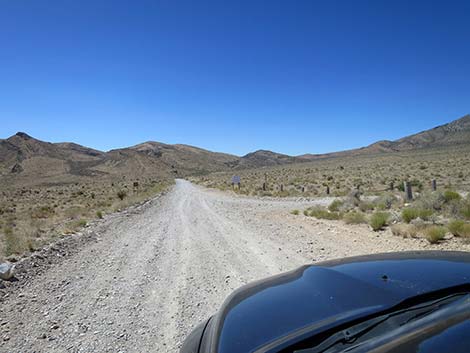 Cottonwood Valley Road