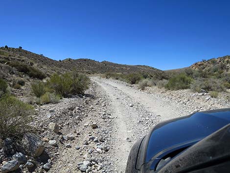 Cottonwood Valley Road