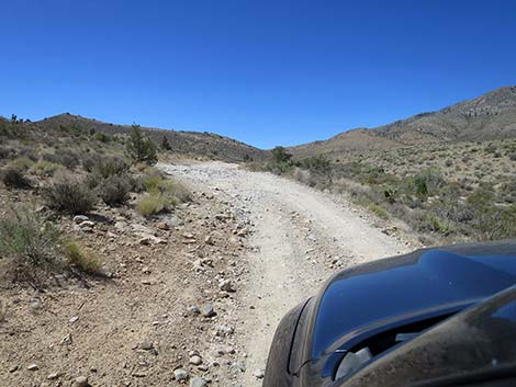 Cottonwood Valley Road