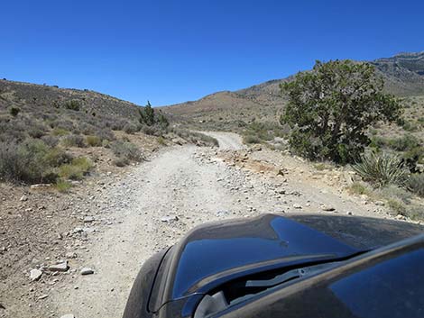 Cottonwood Valley Road