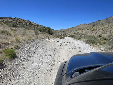 Cottonwood Valley Road